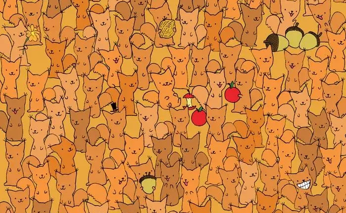 You could have a high IQ if you can spot the hidden mouse amongst the squirrels in eight seconds