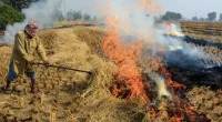 Farm Fires In Punjab