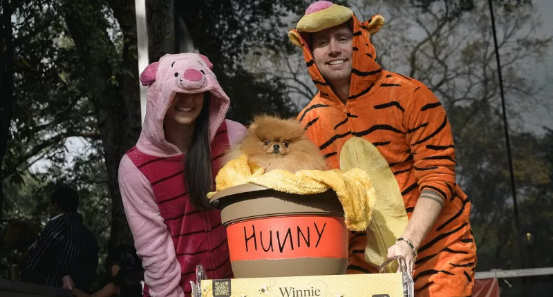 Annual Halloween dog parade draws crowd of 15,000