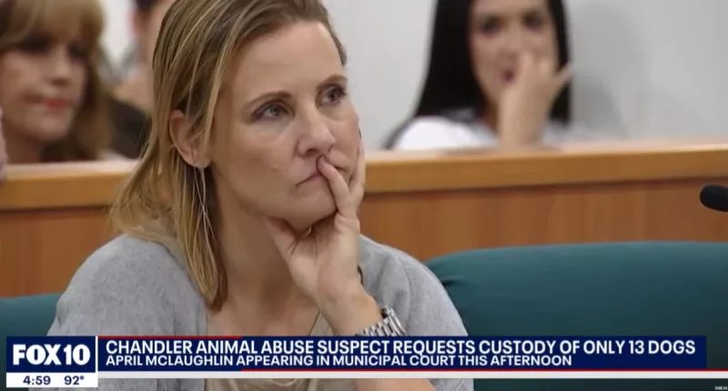 April McLaughlin's request to have dogs returned denied