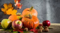 Boosting Your Nutrition with Fall Produce: Insights from a Registered Dietitian |  Stock Photo