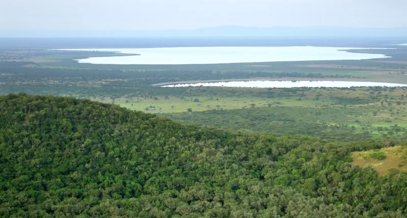 A British tourist on a safari holiday in Africa is believed to be one of three people murdered by Islamic terrorists