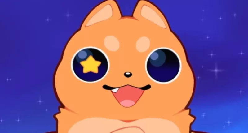 Buffpup Face Reveal