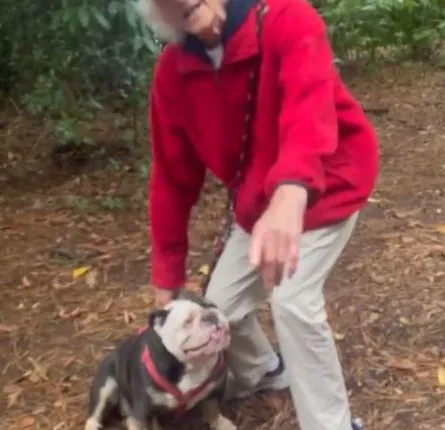 Police are on the hunt for a pensioner whose dog they believe may be responsible for a horror bite