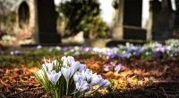 Ryan McDermott obituary