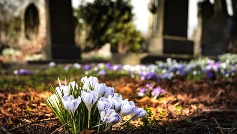 Dallas Texas Ryan McDermott Obituary And Death Cause