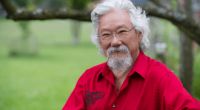 David Suzuki Tragic End: Did David Suzuki Passed Away Today? Cause And Death News