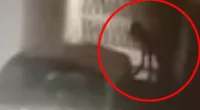 A four-legged creature appeared to turn into a human form in a man's garage