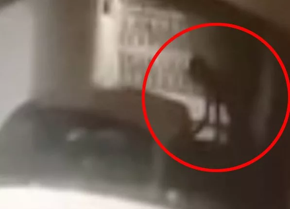 A four-legged creature appeared to turn into a human form in a man's garage