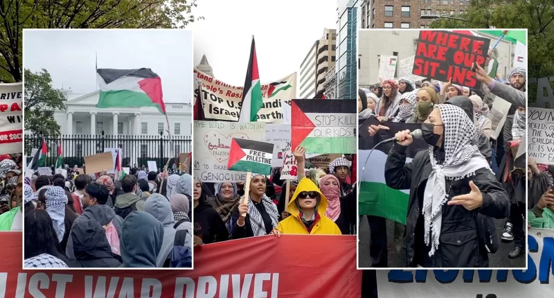 Dozens arrested outside White House during protest over Israel-Hamas War
