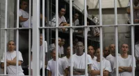 El Salvador gradually fills new mega prison with alleged gang members
