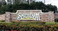 Florida girl, 9, dies after being crushed by a falling palm tree