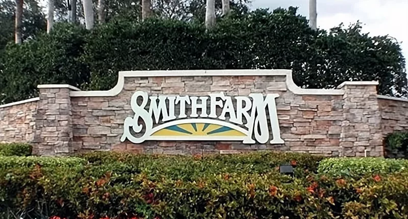 Florida girl, 9, dies after being crushed by a falling palm tree