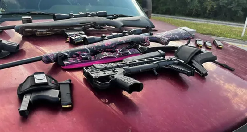Florida man accused of pulling gun on trooper in slow-moving traffic