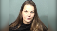 Florida mother arrested after leaving baby, toddler in unlocked car while she was in a bar