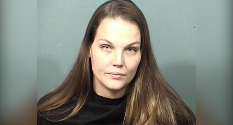 Florida mother arrested after leaving baby, toddler in unlocked car while she was in a bar