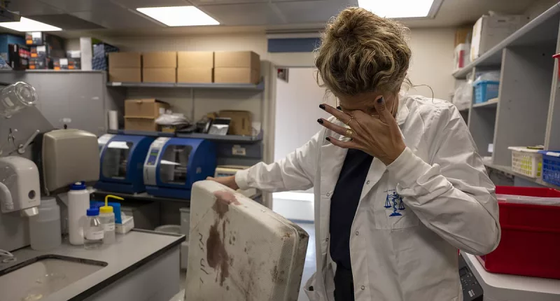 Forensic scientists struggle to identify 297 bodies Hamas brutalised