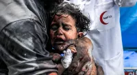 Gaza 'makes Hell look like a tea party', top humanitarian doctor warns