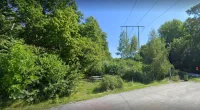 The teenage girl is said to have lured the taxi driver to woods in a nature reserve