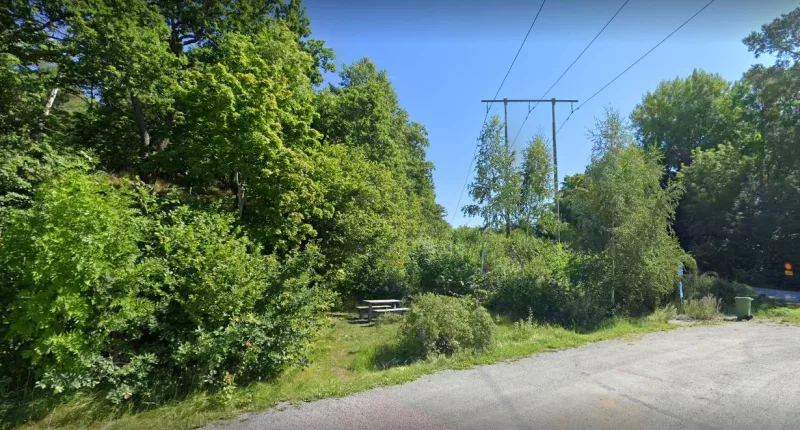 The teenage girl is said to have lured the taxi driver to woods in a nature reserve