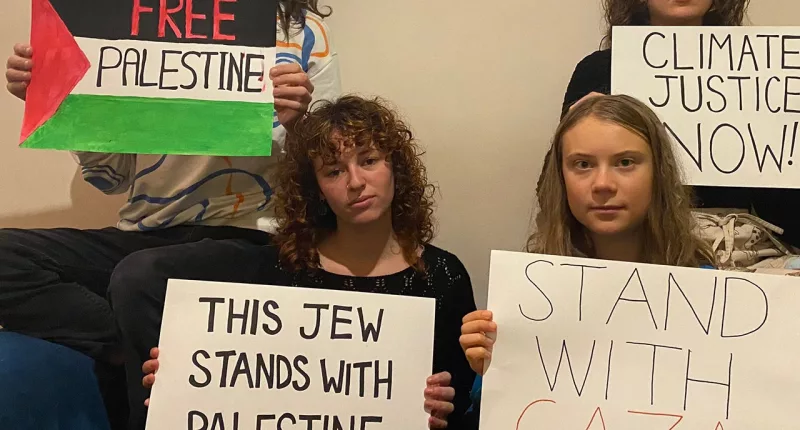 Greta Thunberg posts then deletes 'free Palestine' post after pushback: 'I was completely unaware'
