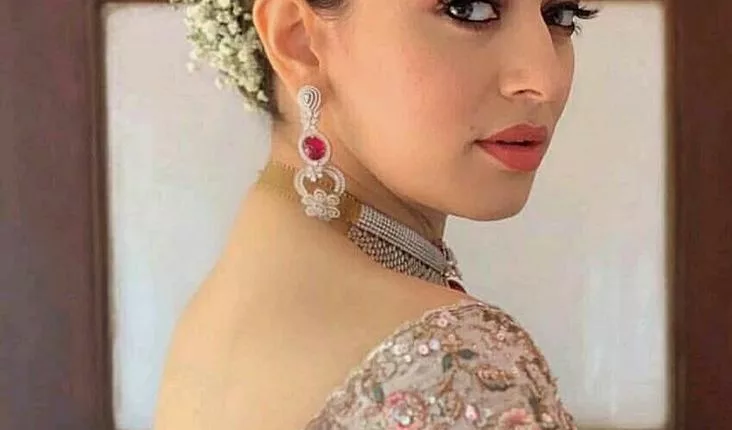 What Is The Current Net Worth Of Hansika Motwani?