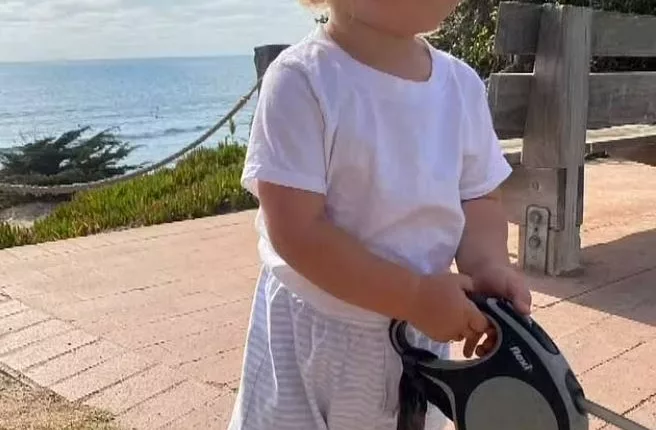 Nico Carter, 2, died while he was on holiday in Mexico with his parents