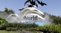 An 8-year-old girl died after a visit to SeaWorld last week