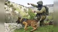 Hero Israeli K-9 unit credited with rescue of over 200 civilians during Hamas terror attack