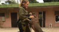 Hero Israeli woman, 25, saves entire kibbutz with help of residents