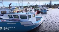 A duck hunter's dog was attacked off the coast on Canada