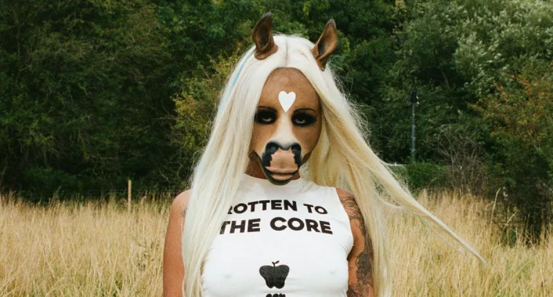 Horsegiirl Face Reveal