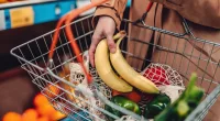 How an Emotional Support Banana Became My Secret Weapon Against Anxiety