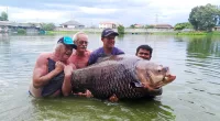 A Brit angler caught the world’s biggest carp on his stag do – weighing in at a whopping 252lbs