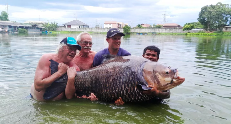A Brit angler caught the world’s biggest carp on his stag do – weighing in at a whopping 252lbs