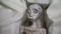 Shocking 'mummies' were unveiled in Mexico last month