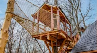 Mike Fitzgerald built a treehouse that took two years to complete