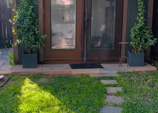 A TikToker has shared their backyard tiny home in a recent TikTok post