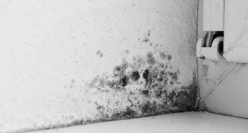 I took my landlord to court over common rental problem that made my life hell and won $14,000 in compensation
