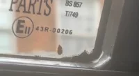 A suspected bed beg was seen on a bus in Manchester