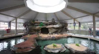 Manly Sea Life Sanctuary was open for 55 years until 2018