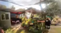 Israel releases unedited video of Oct 7 Hamas attack to counter 'Holocaust denial-like phenomenon'