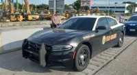 Iulia Pugachev allegedly drove look-alike police cruiser