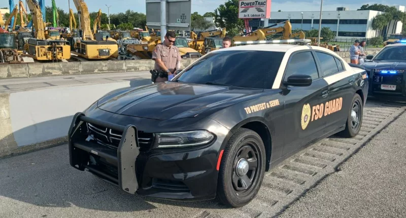 Iulia Pugachev allegedly drove look-alike police cruiser