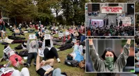 Ivy League school slammed after professor calls Israel attack 'exhilarating': 'A much deeper problem'