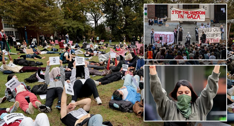 Ivy League school slammed after professor calls Israel attack 'exhilarating': 'A much deeper problem'