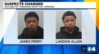 James Perry and Landon Allen stole French bulldogs: Police