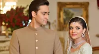 Junaid Safdar Wife Father