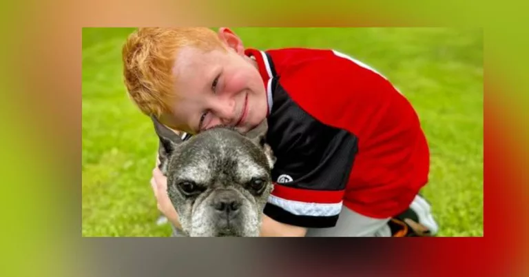 Lincoln Walsh Zipline Accident Linked To Death Cause