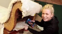 Upholsterer Lucianne Hinch